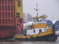 Vilktukas parduodamas