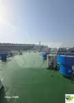 Desantinis tankinis laivas parduodamas