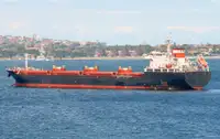 Birių krovinių laivas Parduodama