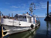 Vilktukas parduodamas