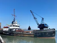 Žemsiurbė Parduodama