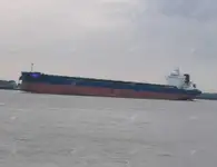 Birių krovinių laivas Parduodama