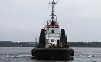 Vilktukas parduodamas