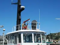 Vilktukas parduodamas