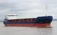 Birių krovinių laivas Parduodama