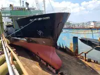 Ro-Ro ship Parduodama