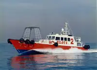 Pilotinis kateris Parduodama