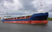 Birių krovinių laivas Parduodama