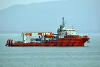 Vilkikas Parduodama