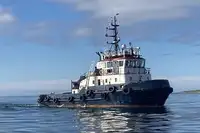 Vilkikas Parduodama