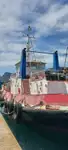 Vilkikas Parduodama