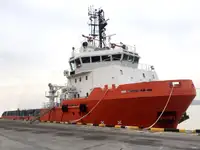 Vilktukas parduodamas