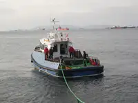 Vilktukas parduodamas