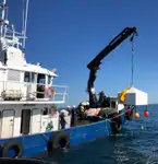 Darbiniai laivai parduodamas