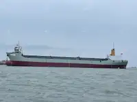 Konteinerių laivas Parduodama