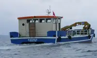 Vilkikas Parduodama