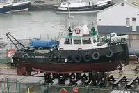 Vilkikas Parduodama