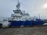 Vilktukas parduodamas