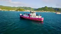 General Cargo/Multi-purpose parduodamas