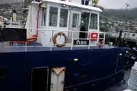 Vilktukas parduodamas