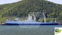 Ro-Ro ship Parduodama