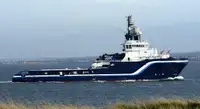 Vilkikas Parduodama