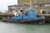 Vilkikas Parduodama