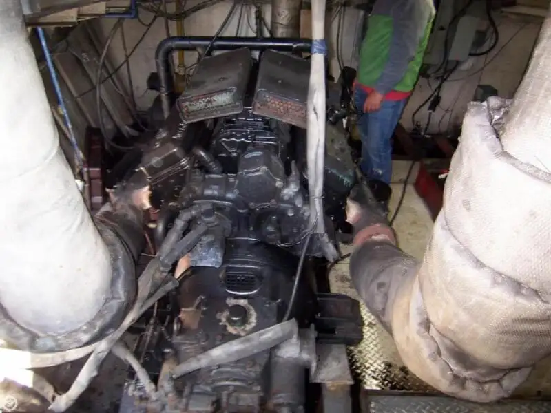 Vilktukas parduodamas