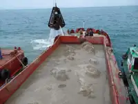 Barža parduodamas