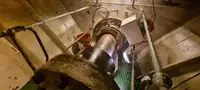 Vilktukas parduodamas