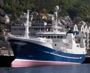 Purse seiner Parduodama