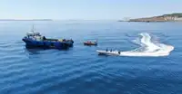 Vilktukas parduodamas