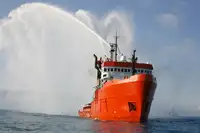 Vilktukas parduodamas