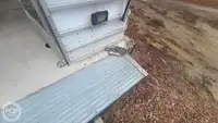 Kruizinis laivas parduodamas
