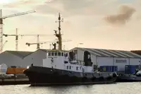 Vilkikas Parduodama
