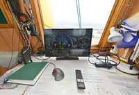 Vilktukas parduodamas