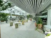 Kruizinis laivas parduodamas