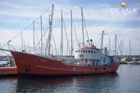 Tyrimo indas Parduodama