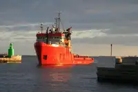 Vilktukas parduodamas