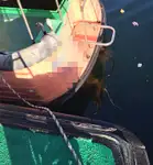 Loto laivas parduodamas