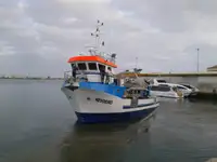 Vilktukas parduodamas