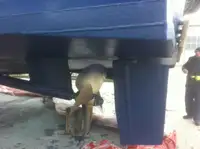 Įgulos laivas parduodamas