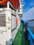 Vilktukas parduodamas
