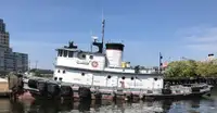 Vilkikas Parduodama