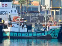 Purse seiner Parduodama