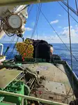Purse seiner Parduodama
