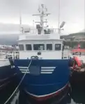 Darbiniai laivai parduodamas