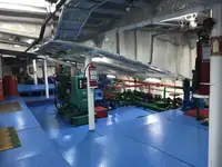 Ro-Ro ship Parduodama