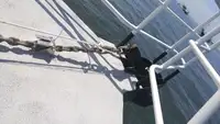 Įgulos laivas parduodamas