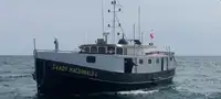 Vilkikas Parduodama